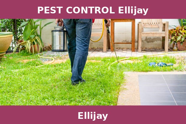 PEST CONTROL Ellijay